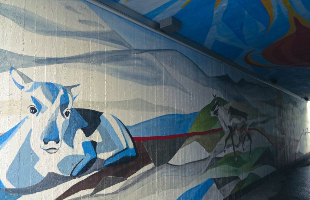 Graffiti pod wiaduktem w Abisko