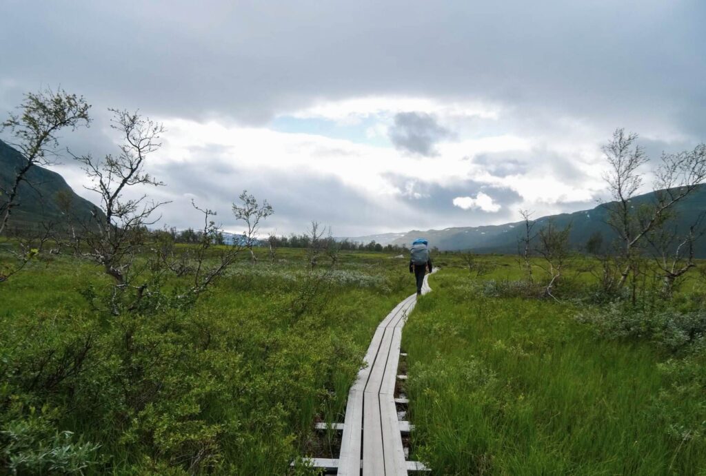Kładka na szlaku w Abisko National Park