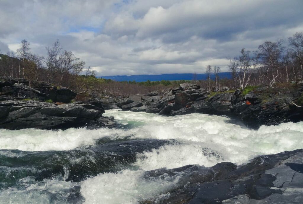 Rzeka Abiskojokk w Abisko National Park