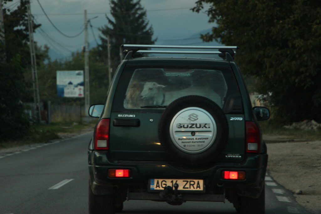 Kozia taksówka