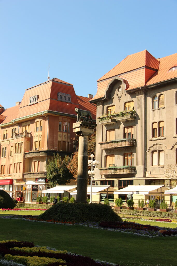 Wilczyca kapitolińska w Tmisoarze