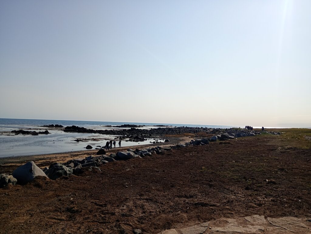 Ytri Tunga, malownicza plaża na półwyspie Snaefellsnes