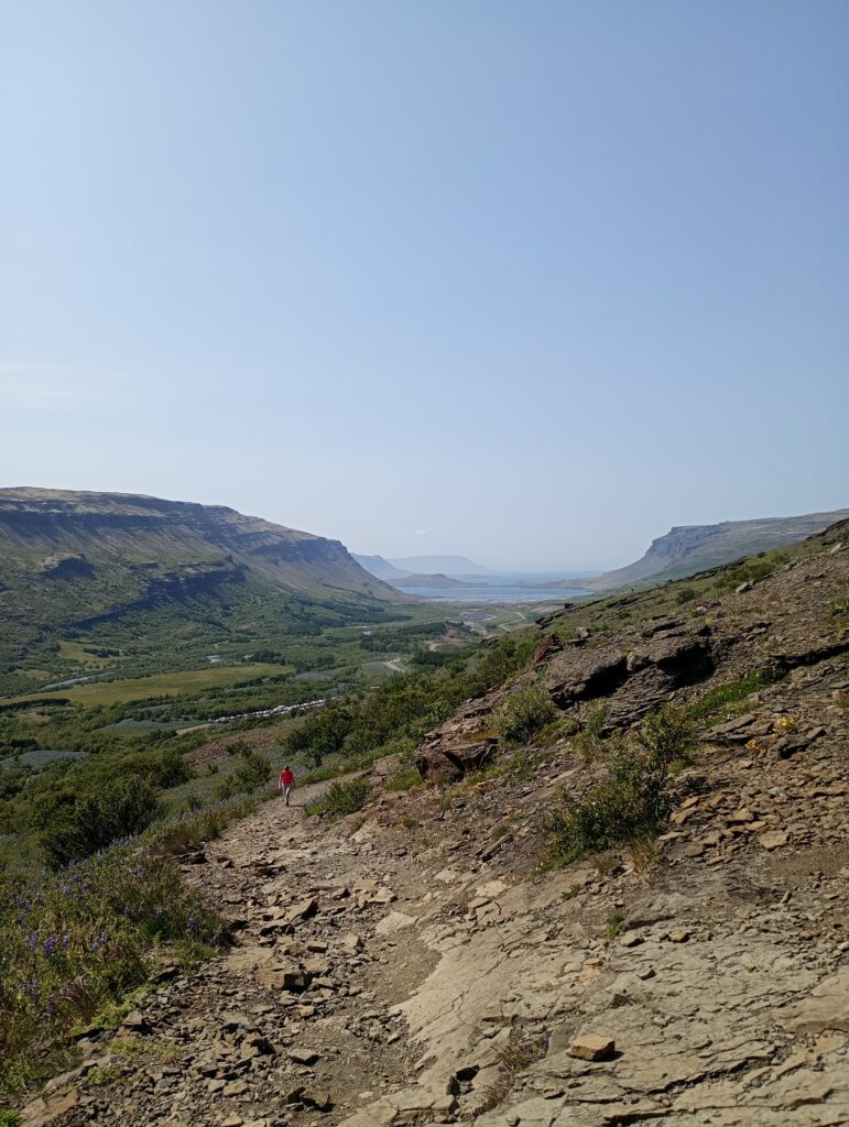 Widok na fiord Hvalfjordur ze ścieżki prowadzącej zachodnią stroną wodospadu Glymur