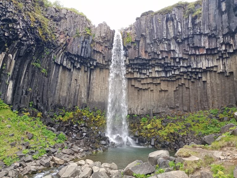 Park Narodowy Skaftafell i wodospad Svartifoss – zobacz czarny bazalt