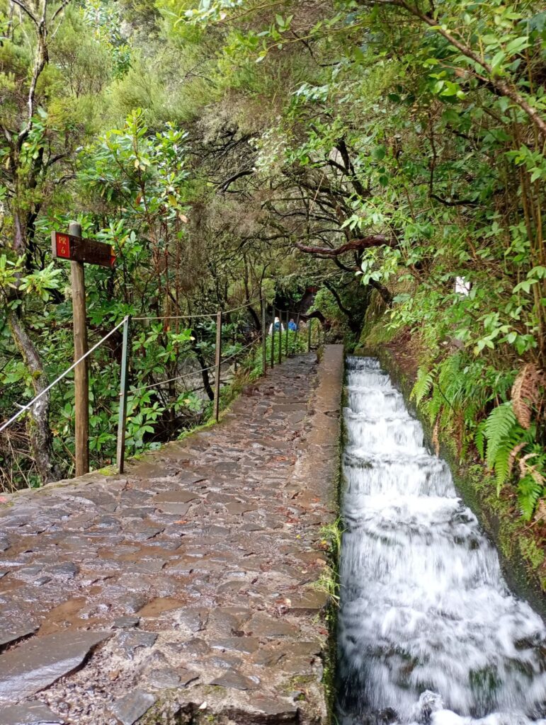 Kanał irygacyjny na trasie Levada 25 Fontes 