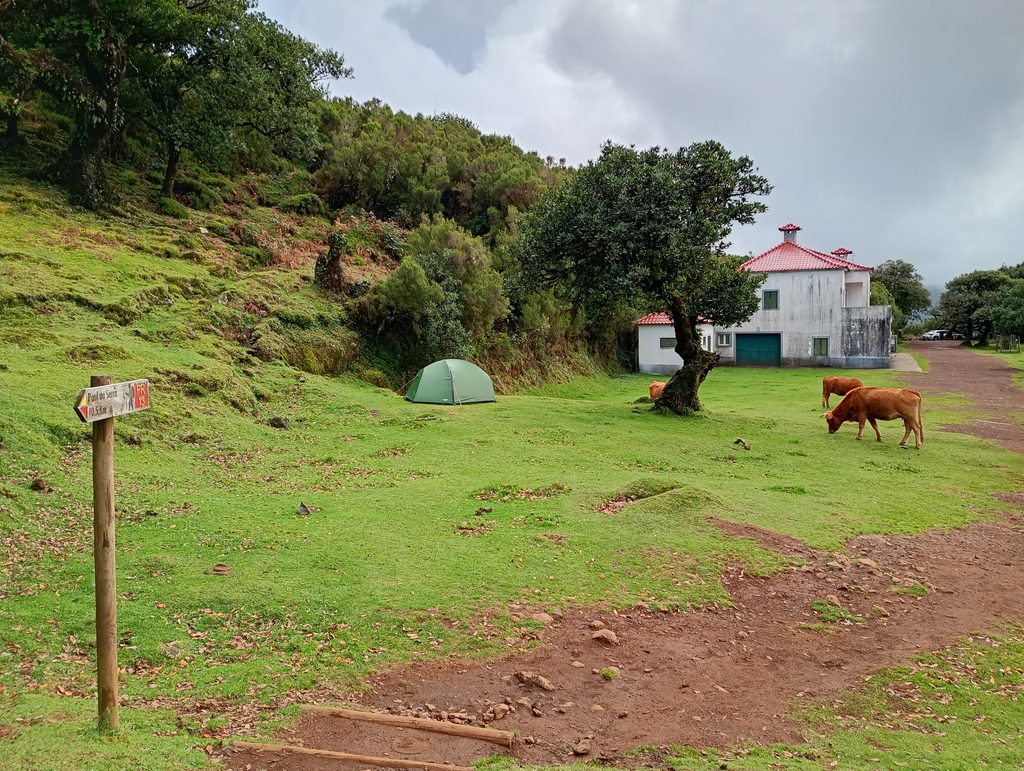 Namioty na campingu