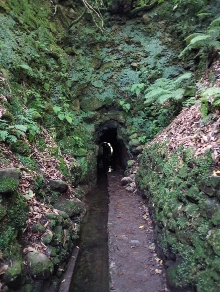 Pierwszy tunel na szlaku PR9